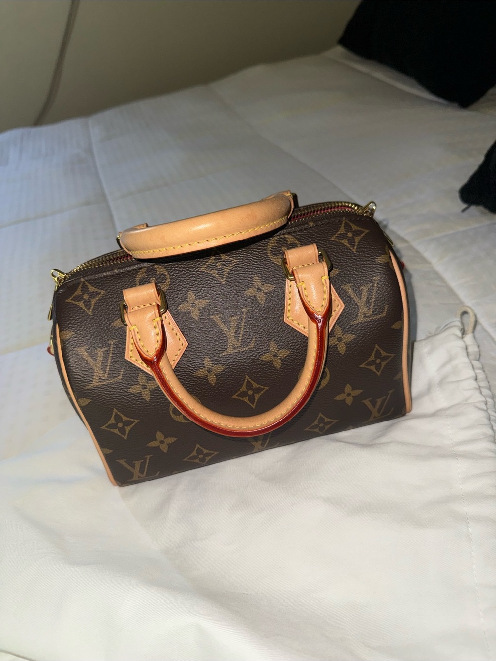Louis Vuitton Speedy 20